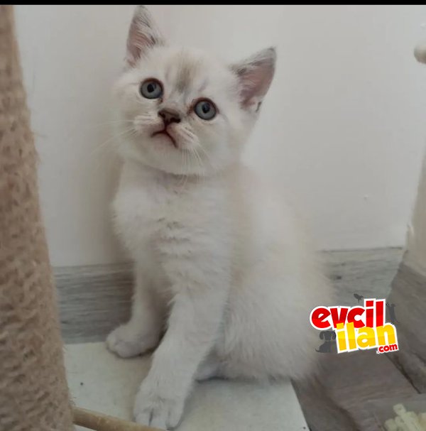 Yeni yuvasına hazır bebiş 