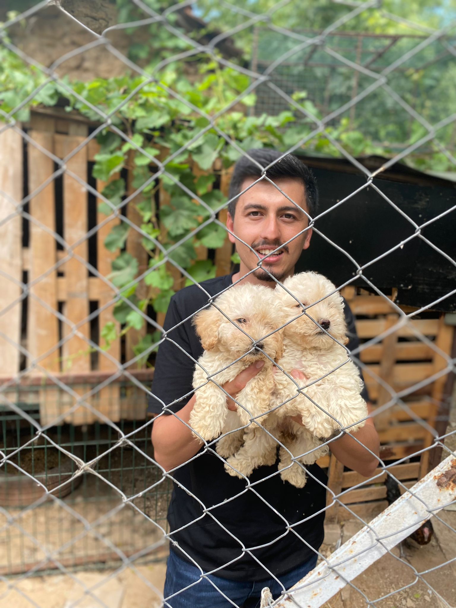 Yasin Küçüktürk